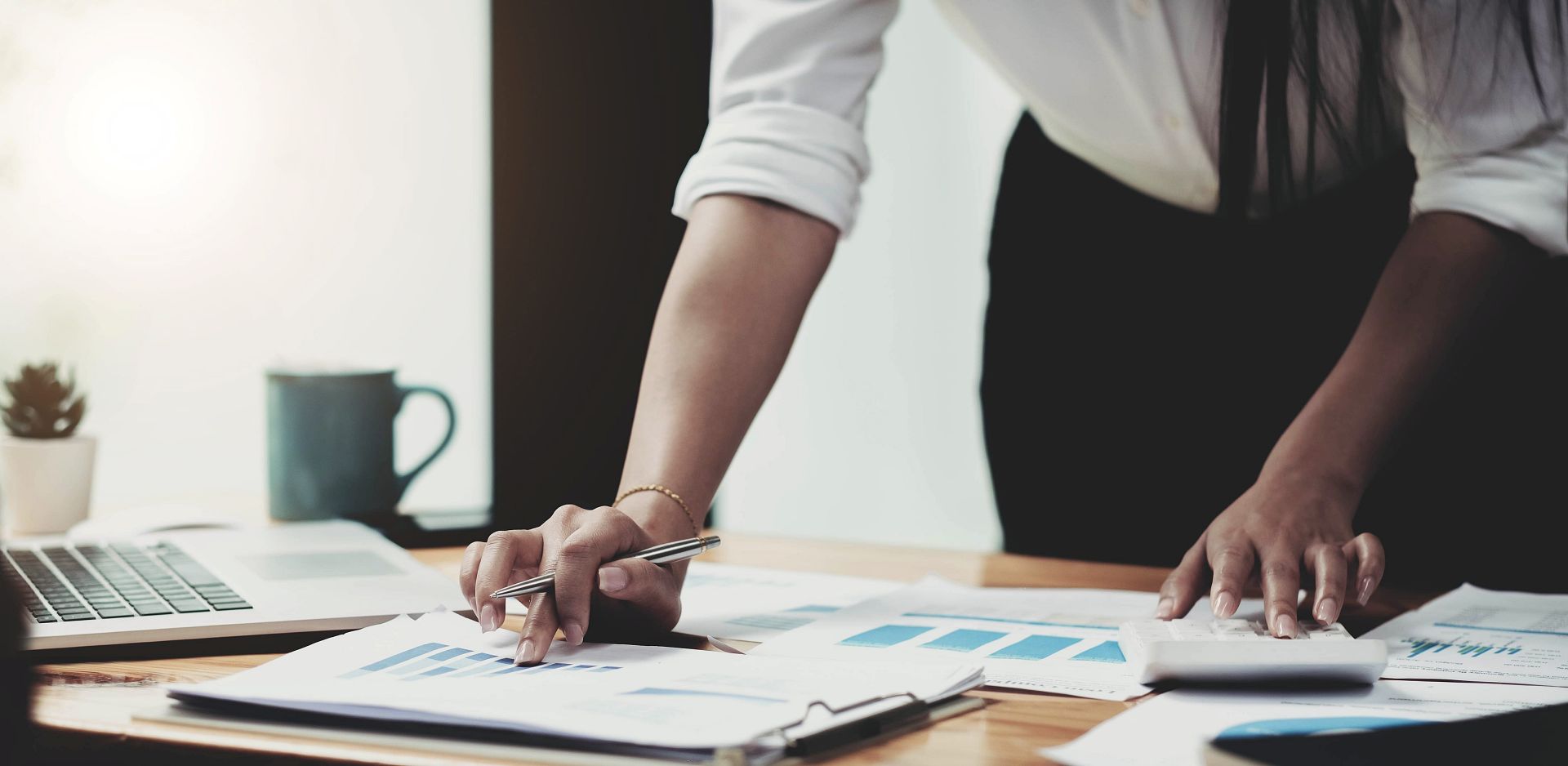 Tax appeal documents prepared for SARS ADR and Tax Court review