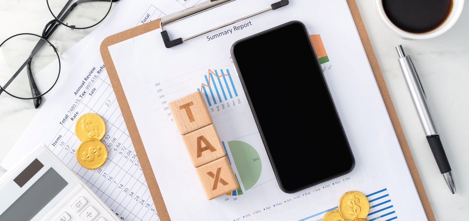 Tax consultant reviewing complex SARS dispute documents